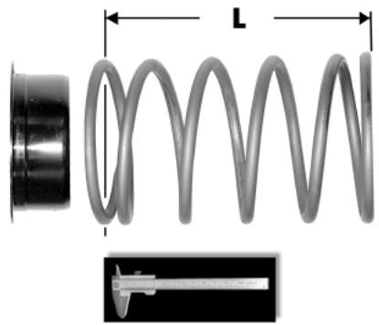 MALAGUTI 500 CC 4T - EURO 3 - Controle des ressorts et demi-cones - 3