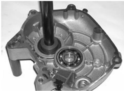 MALAGUTI 500 CC 4T - EURO 3 - Equipement spécifique - 1