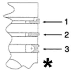 MALAGUTI 500 CC 4T - EURO 3 - Joints spi - 1