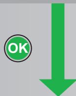 MALAGUTI SPIDER MAX RS 500 - 10. - 2