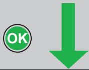 MALAGUTI SPIDER MAX RS 500 - 9. - 13