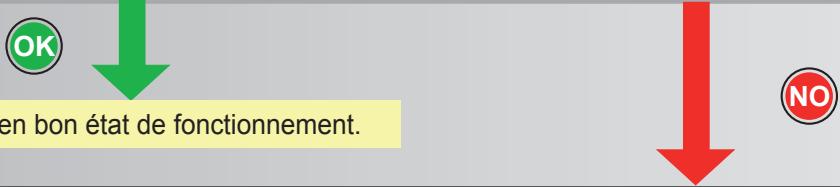 MALAGUTI SPIDER MAX RS 500 - Contrôler le témoin de l'injection - 2