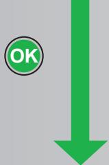 MALAGUTI SPIDER MAX RS 500 - 8. - 2