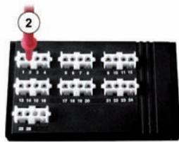 MALAGUTI SPIDER MAX RS 500 - 2. - 19