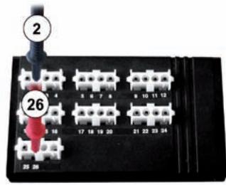 MALAGUTI SPIDER MAX RS 500 - 2. - 4
