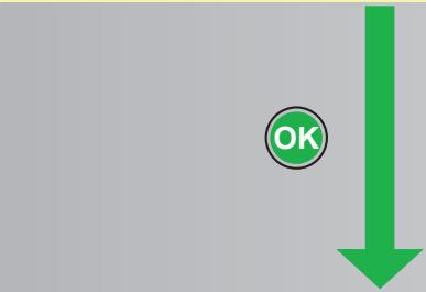 MALAGUTI SPIDER MAX RS 500 - 3. - 1