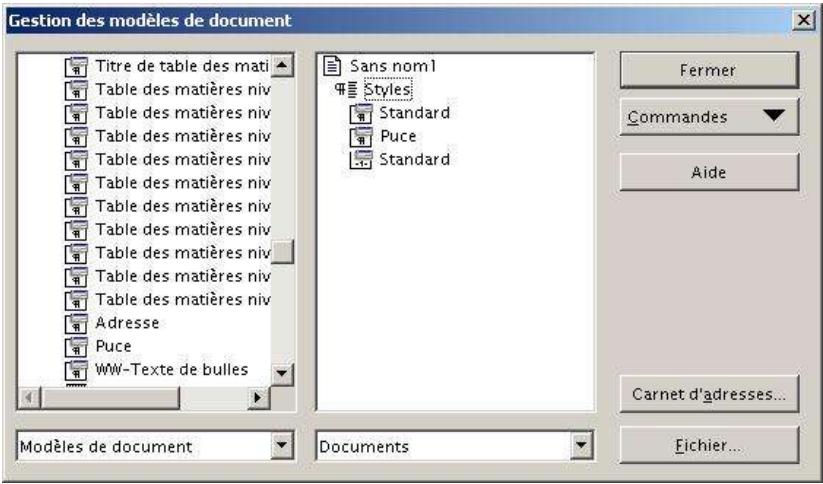 OPEN OFFICE 1.1 - Copier des styles - 1