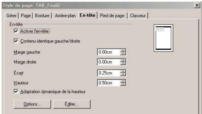 OPEN OFFICE 1.1 - Fenêtre principale de l'onglet En-tête - 1