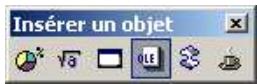 OPEN OFFICE 1.1 - Les objets - 1