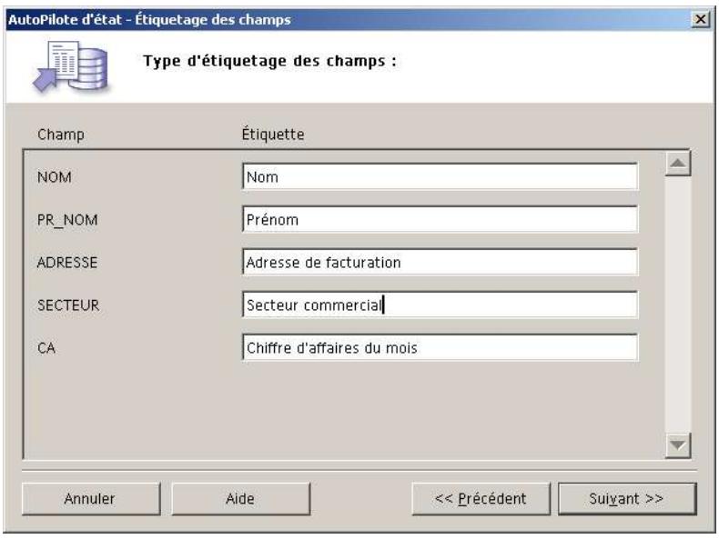 OPEN OFFICE 1.1 - Étape 2 : Étiquetage des champs - 1