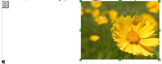 OPEN OFFICE 1.1 - Les images - 1
