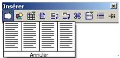 OPEN OFFICE 1.1 - Les cadres - 1