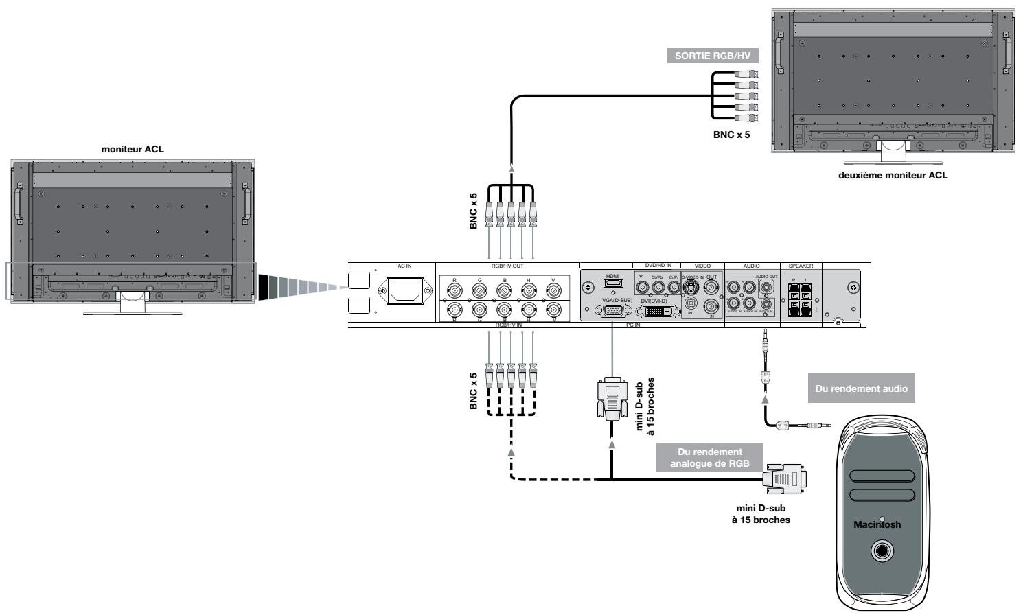 NEC M46 - Brancher à un ordinateur Macintosh - 1