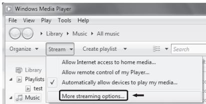 TEAC NPH750 S - Configurar Windows Media Player 12 - 1