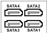 ABIT IB9 - CoednHeHne NocIeDobateNbHx JeeCTKHX DnCKOB ATA:[SATA1]  [SATA4] - 1