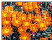 ARCSOFT PHOTOSTUDIO - Les menus Retouches et Effets - 12