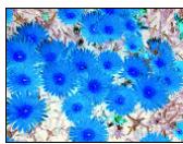 ARCSOFT PHOTOSTUDIO - Les menus Retouches et Effets - 10