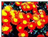 ARCSOFT PHOTOSTUDIO - Les menus Retouches et Effets - 13