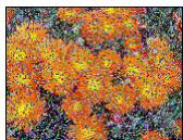 ARCSOFT PHOTOSTUDIO - Les menus Retouches et Effets - 15