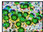 ARCSOFT PHOTOSTUDIO - Les menus Retouches et Effets - 3