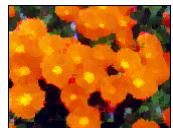 ARCSOFT PHOTOSTUDIO - Les menus Retouches et Effets - 5