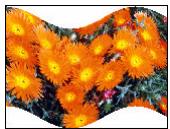 ARCSOFT PHOTOSTUDIO - Les menus Retouches et Effets - 14