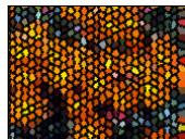 ARCSOFT PHOTOSTUDIO - Les menus Retouches et Effets - 4