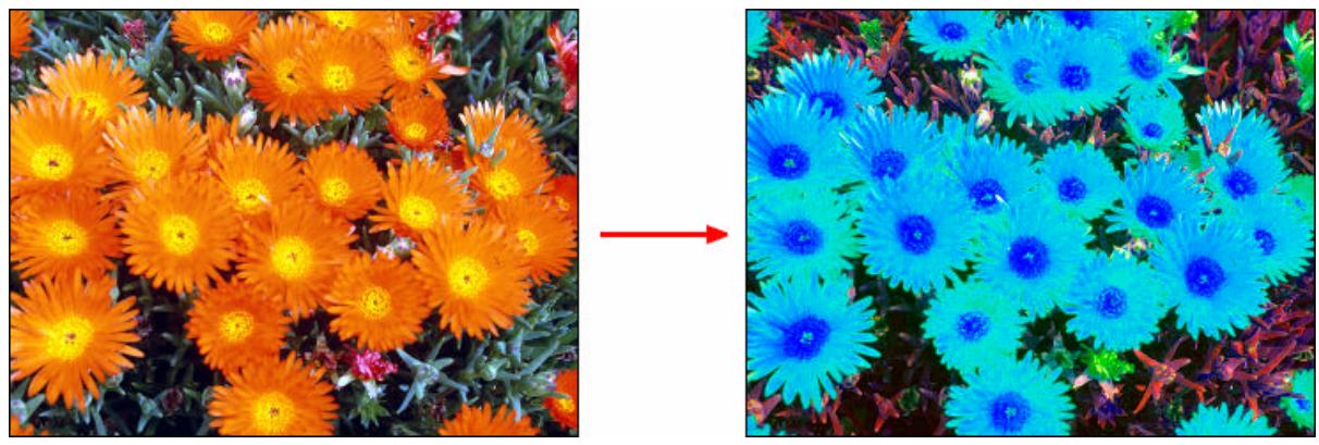 ARCSOFT PHOTOSTUDIO - Les menus Retouches et Effets - 1