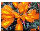 ARCSOFT PHOTOSTUDIO - Les menus Retouches et Effets - 11