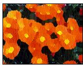 ARCSOFT PHOTOSTUDIO - Les menus Retouches et Effets - 9