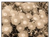 ARCSOFT PHOTOSTUDIO - Les menus Retouches et Effets - 17