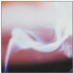 ALDES VMC - Vapeur d'eau - 1