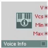 NATIVE INSTRUMENTS REAKTOR 5 - Voice Info - 1
