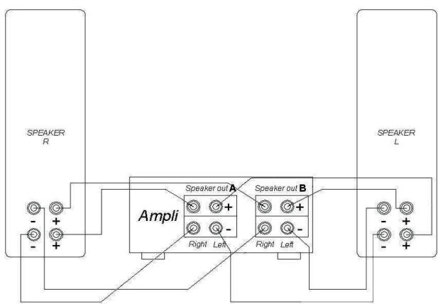 TRIANGLE COMETE 202 - Bi-wiring and bi-amplification - 2