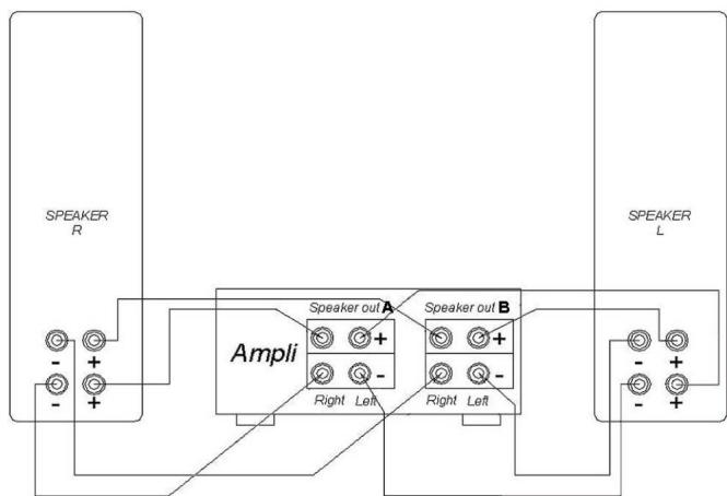 TRIANGLE ESPRIT VOCE - Bi-wiring and bi-amplification - 2