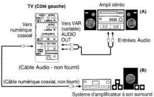 ORION TV32RN10D - Branchement d'un système audio - 1