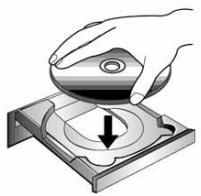 PLUSTEK IPCAM P1100A - Information - 1