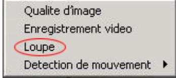 PLUSTEK IPCAM P1100A - Comment Agrandir un Ecran - 1