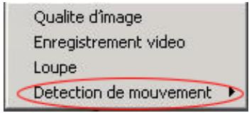PLUSTEK IPCAM P1100A - Comment Définir la zone de détction de Mouvement - 1