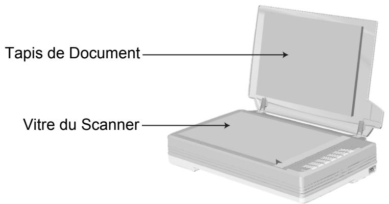 PLUSTEK OPTICPRO A360 - Nettoyer le Scan à Plat - 1