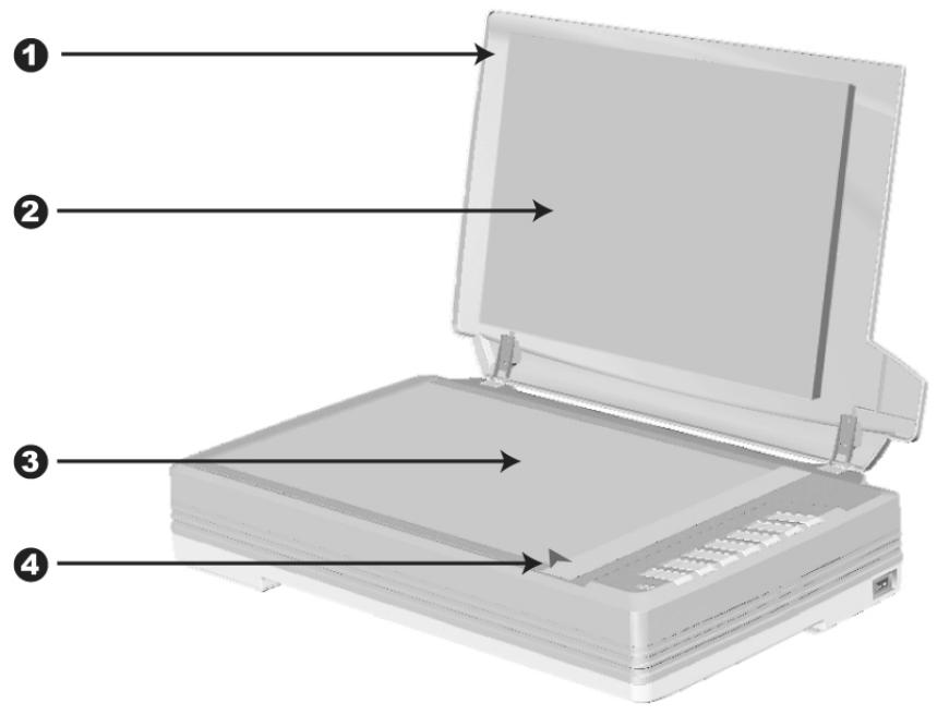 PLUSTEK OPTICPRO A360 - CHARACTERISTIQUES DU SCANNER - 1