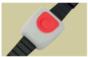 ASCOM TELECARE WP - Ascom teleCARE WP - 2