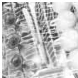 ASPES LJA-0250 - Important - 6