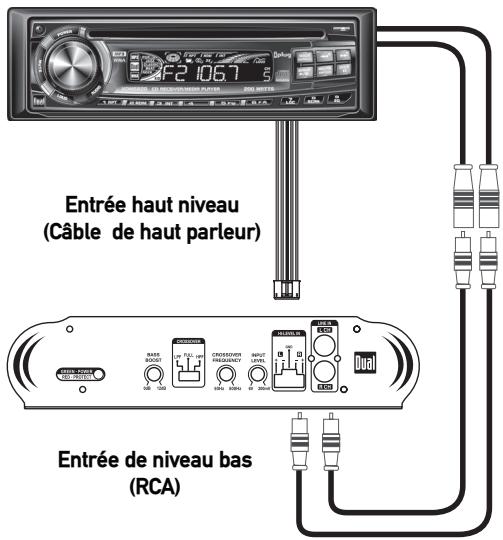 DUAL XPA6100 - Entrée de niveau bas (RCA) - 1