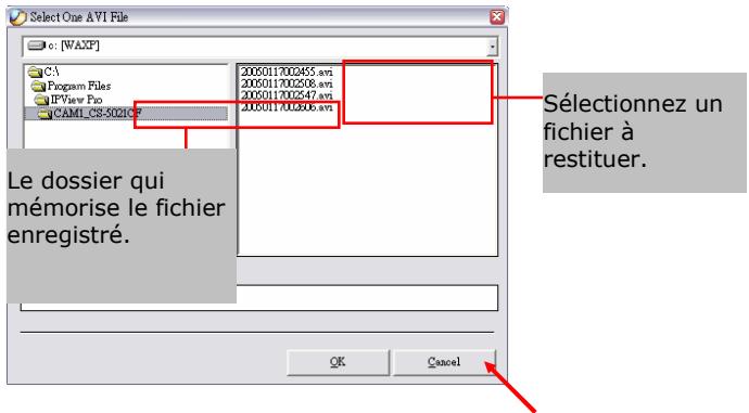 SITECOM LN-403 - Lecture de la Video Enregistrée - 1