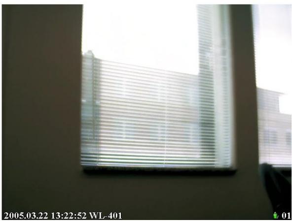 SITECOM WL-401 - Détction de Mouvement - 1