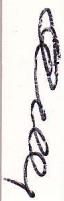 LEWENSTEIN COMPACTA 70E - POSE des boutons - 4