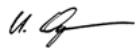 OASE FILTOMATIC CWS - CE Manufacturer's Declaration - 1