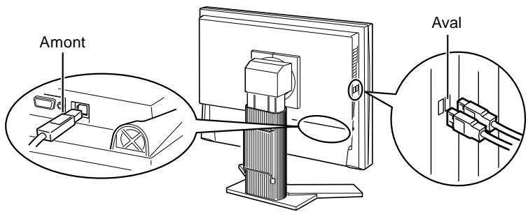EIZO COLORGRAPHIC CG241W - Procedure de connexion (Configuration de la fonction USB) - 1