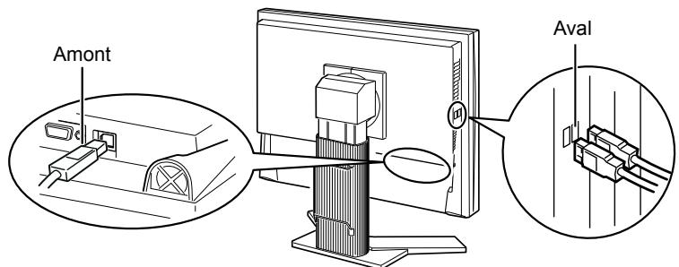EIZO FLEXSCAN S2433WFS - - Procedure de connexion (Configuration de la fonction USB) - 1